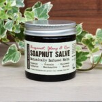 soapnut salve botanically infused balm