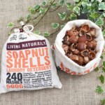 soapnuts