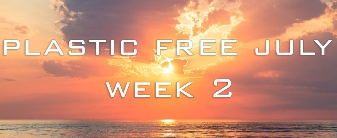 plastic free july week 2 banner