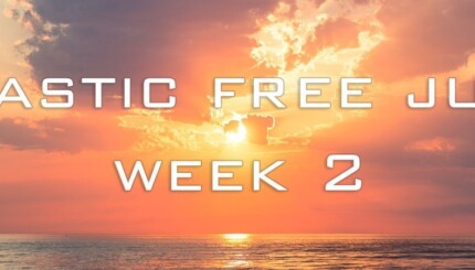 plastic free july week 2 banner