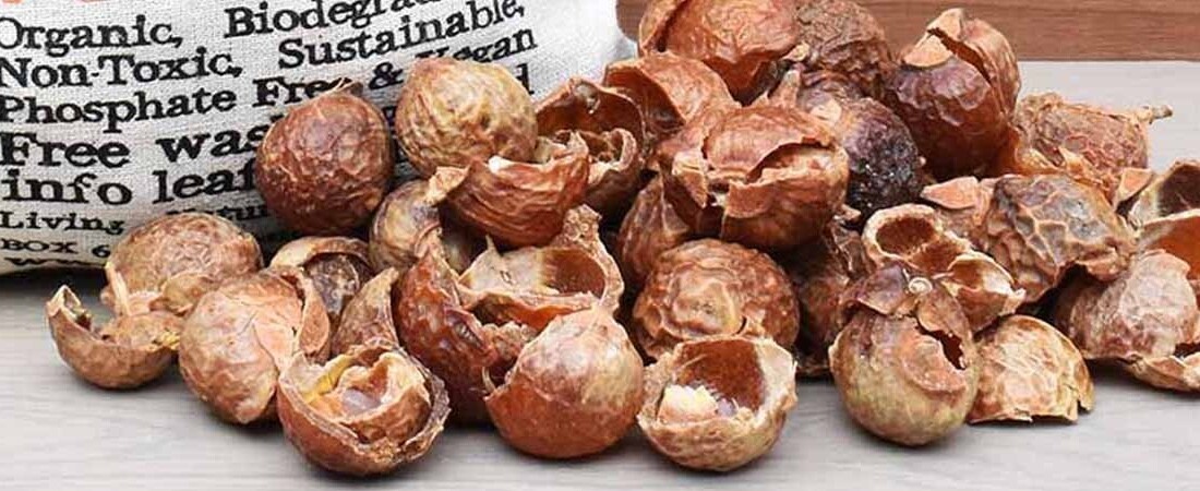 soapnut shells and bag
