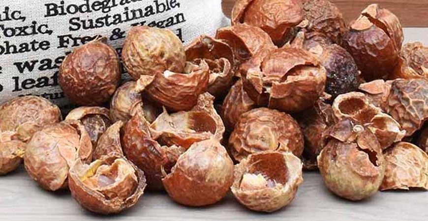 soapnut shells and bag