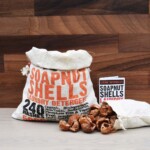 soap nuts