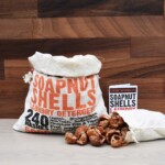 soap nuts