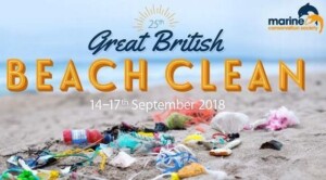 great british beach clean 2018