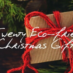 Top Twenty Eco friendly Christmas Gifts 2018