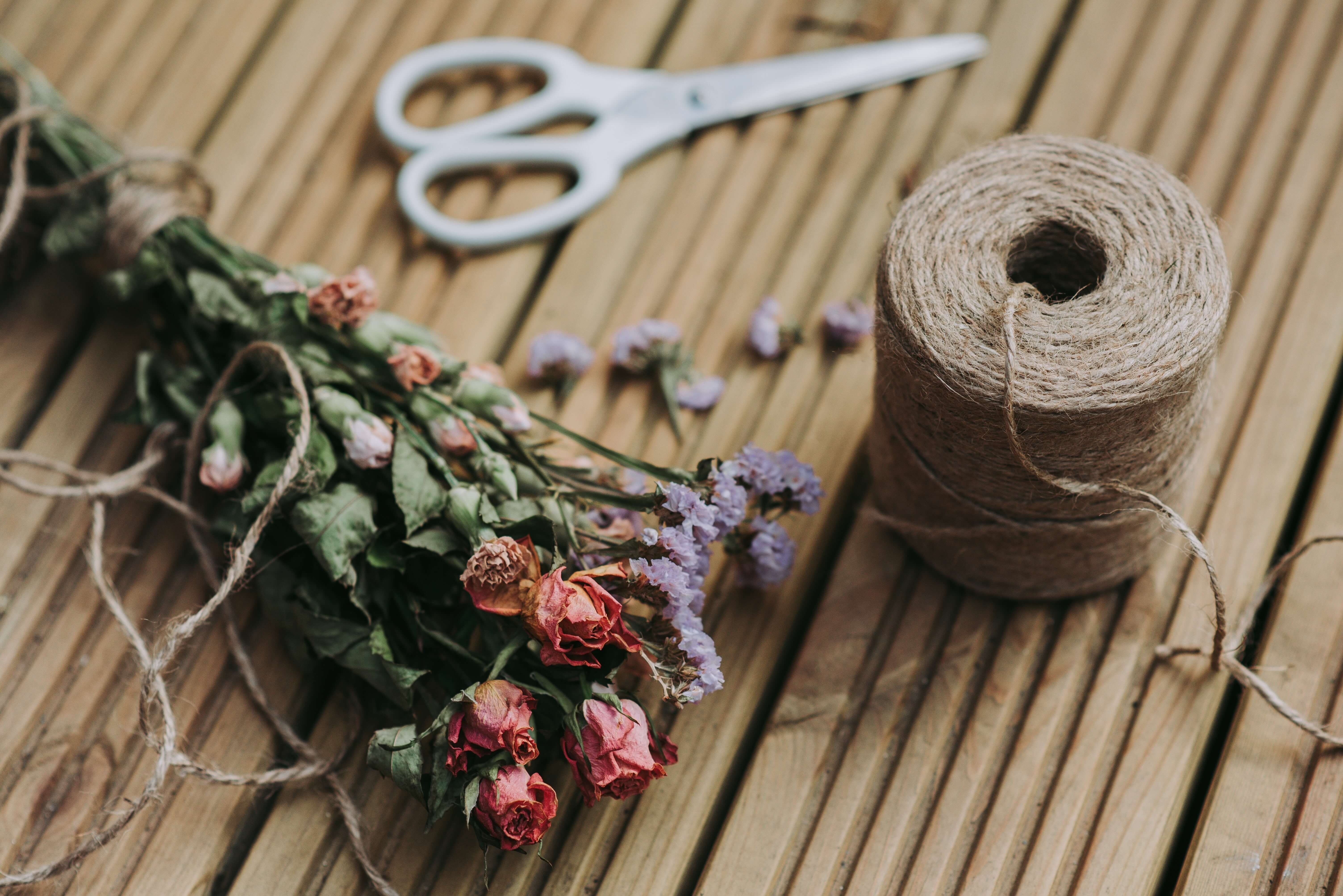 color decoration dried flowers 1166416