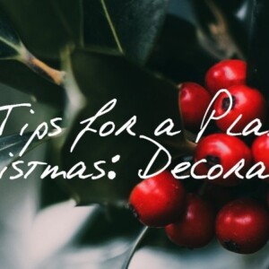 Ultimate Tips for a Plastic Free Christmas Decorations 2018 Peace With The Wild