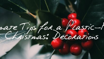 Ultimate Tips for a Plastic Free Christmas Decorations 2018 Peace With The Wild