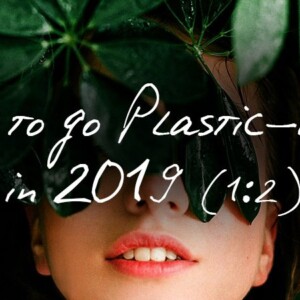 How To Go Plastic Free In 2019 blog part 1