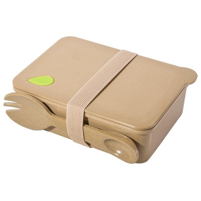 biodegradable lunch box