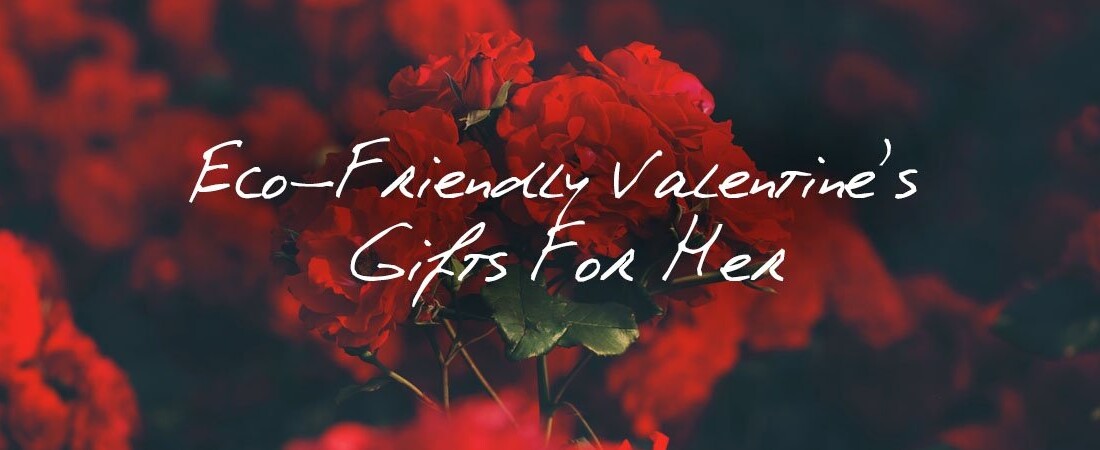 eco valentines gifts for her