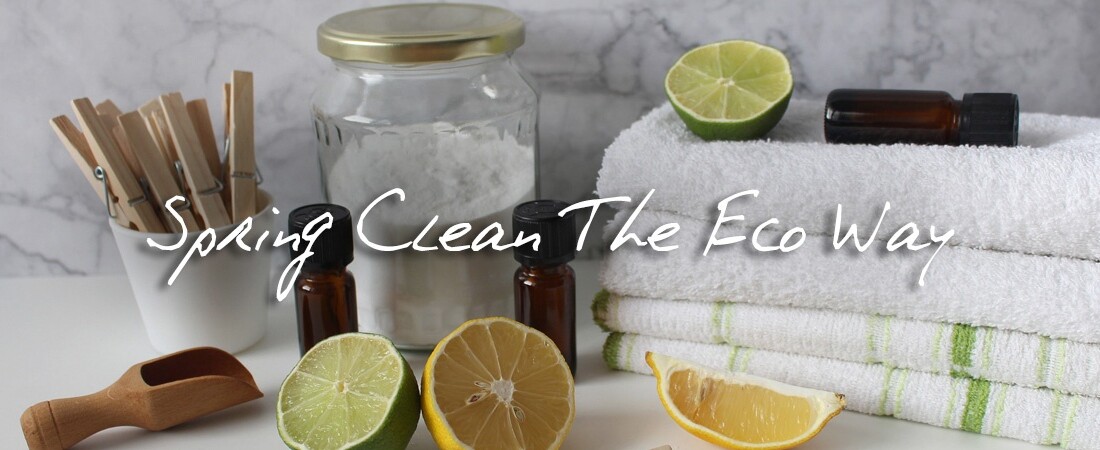 eco friendly spring cleaning