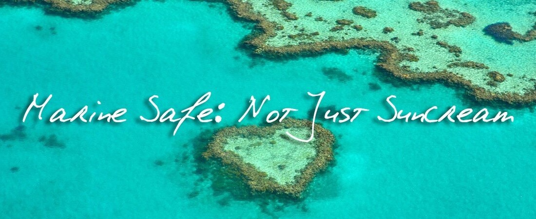 marine safe blog banner featured