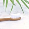 truthbrush, toothbrush head, Medium Bristle Toothbrush, toothbrush, bamboo
