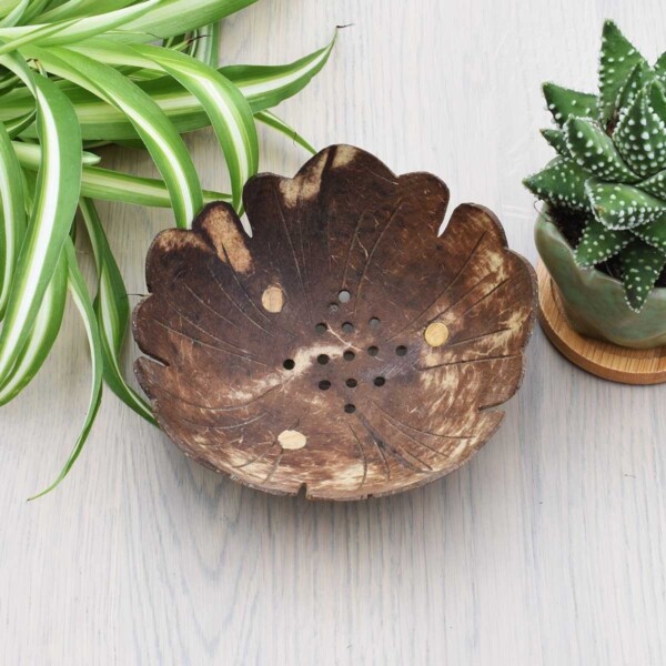 Coconut Shell Soap Dish With Plants