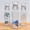 Soul Collection Of Glass Water Bottles