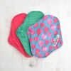 Earth Wise Girls , Medium Reusable Sanitary Pads 3 Pack, machine washable, Stain-resistant,