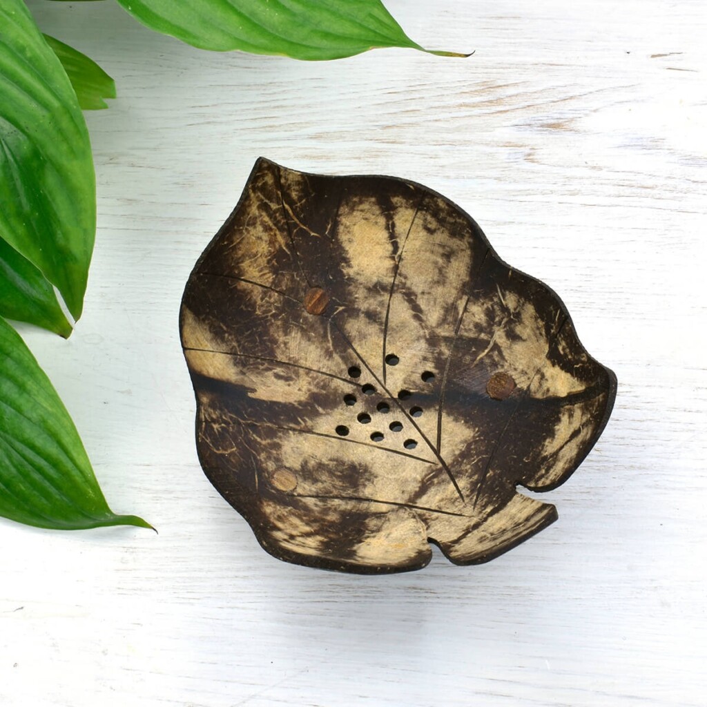 Coconut Shell Soap Dish Peace With The Wild