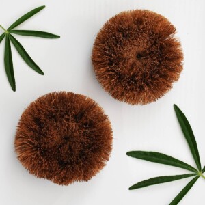 Eco Coconut Coconut Scourer Brush 2 Pack
