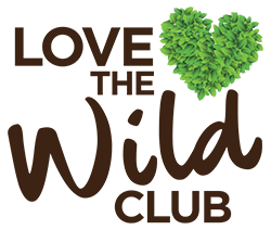 love the wild club logo transparent
