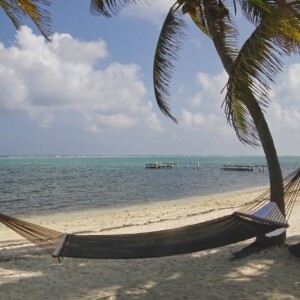 hammock hung up between two palm trees on a beach