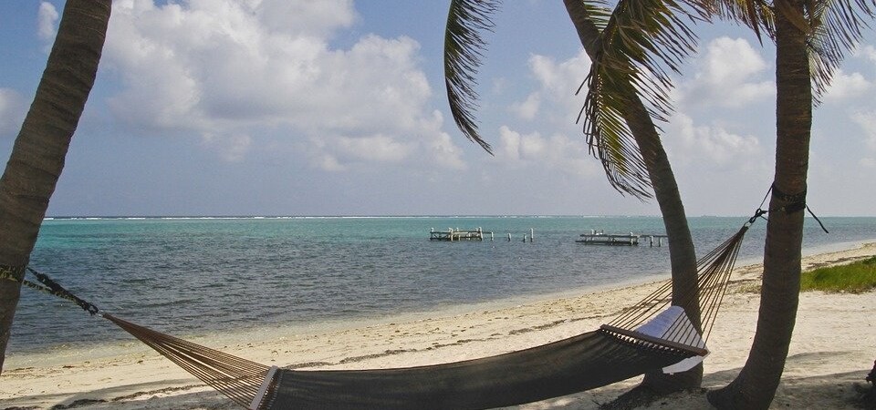 hammock hung up between two palm trees on a beach