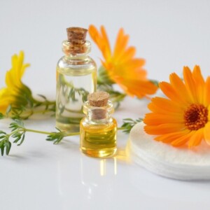 natural plant oils