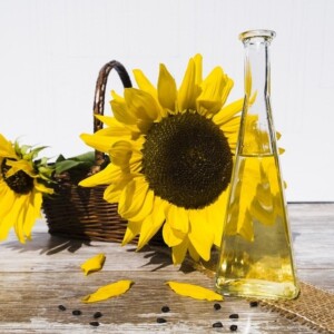 sunflower oil