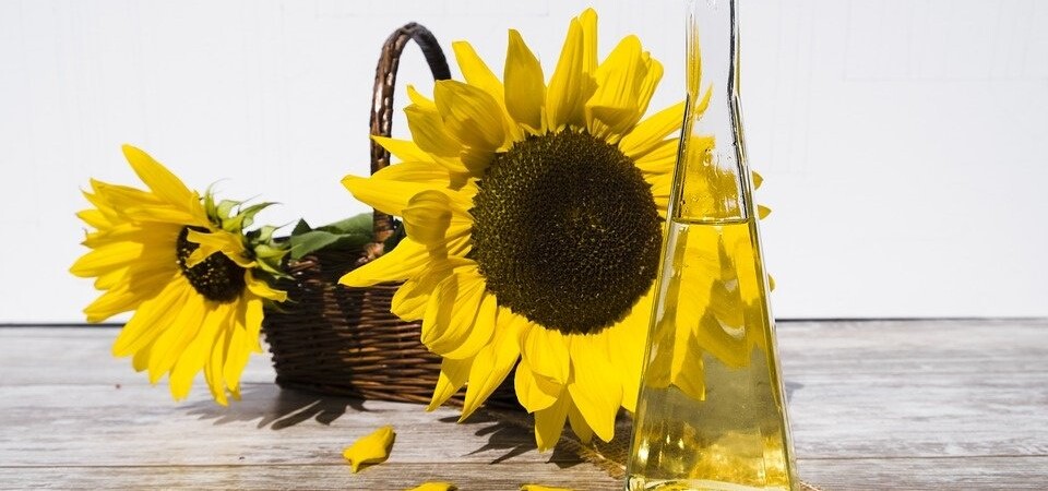 sunflower oil