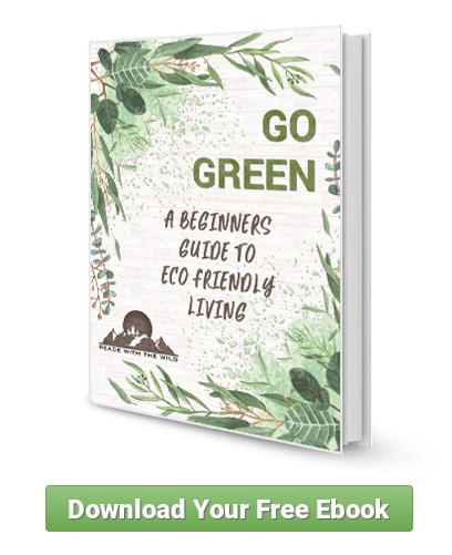 A beginners guide to eco friendly living e book