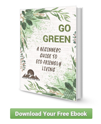 A beginners guide to eco friendly living e book