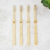 bambaw, Bamboo Toothbrush Soft Bristles, pack of 4, family pack, toothbrushes, biodegradable,