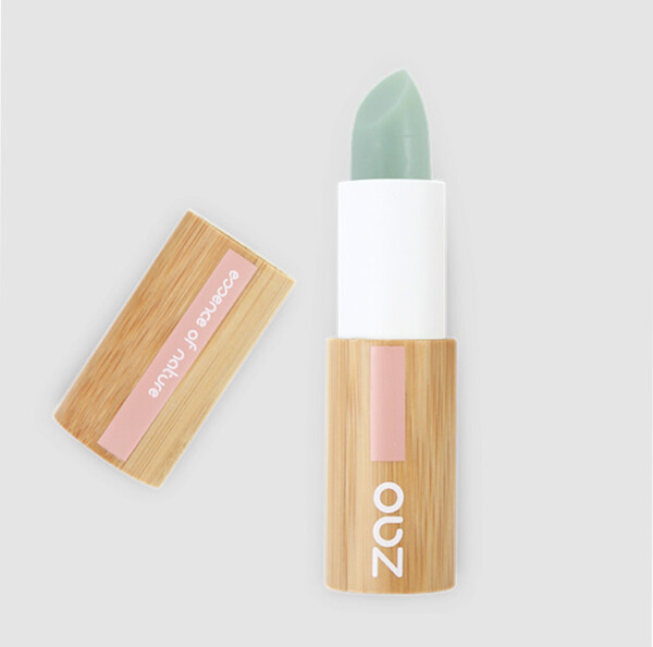 Lip Scrub Stick 482