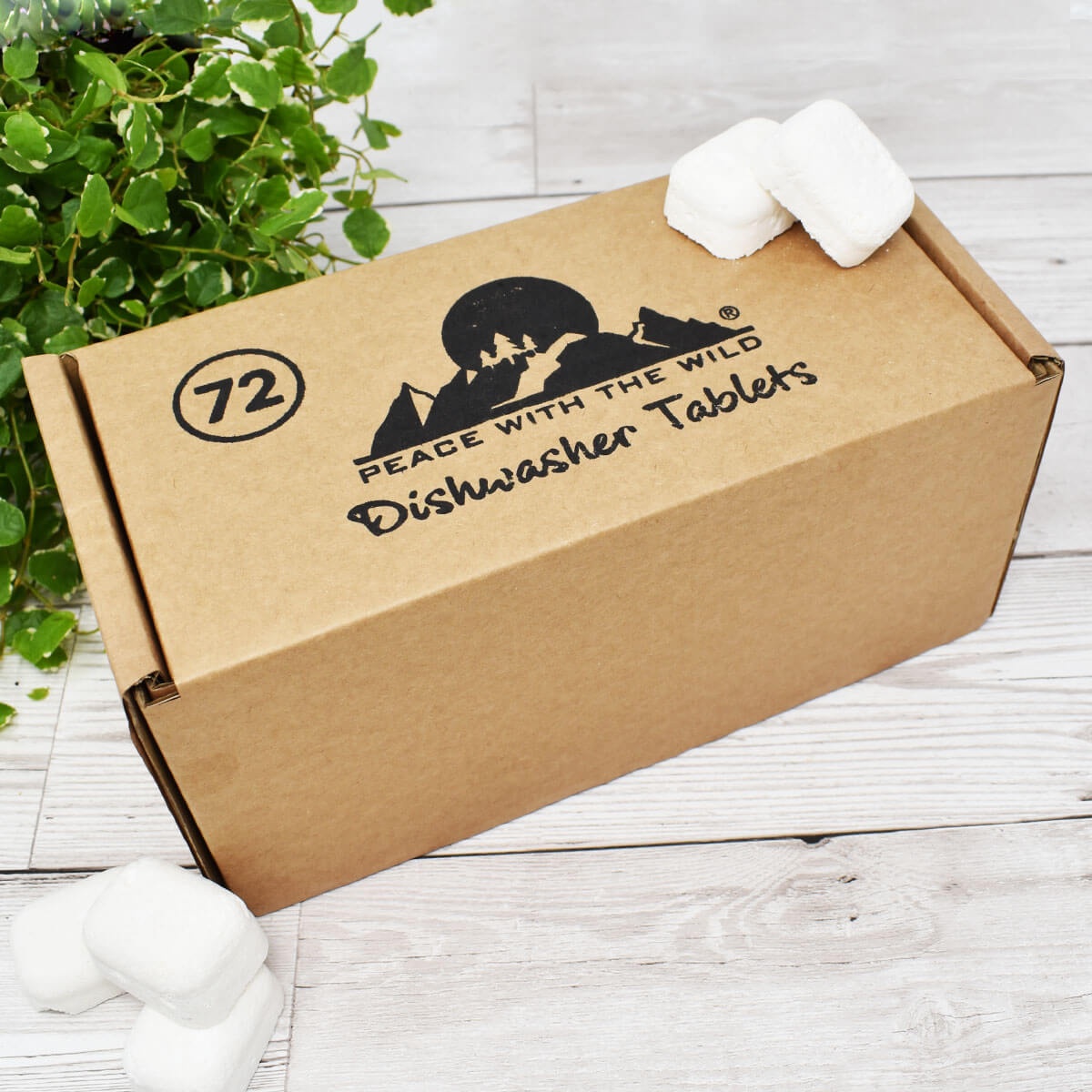 PVA-Free Natural Dishwasher Detergent Tablets  Eco-Friendly Dish Pods – A  Drop in the Ocean