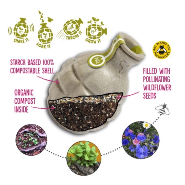 Pollinator Power Seed Bombs Gift Box - Image 3