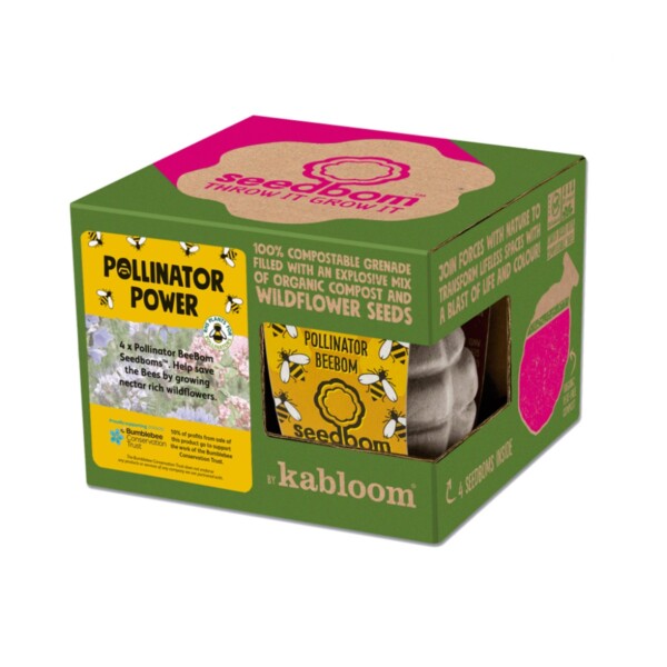 Pollinator Power Seed Bombs Gift Box