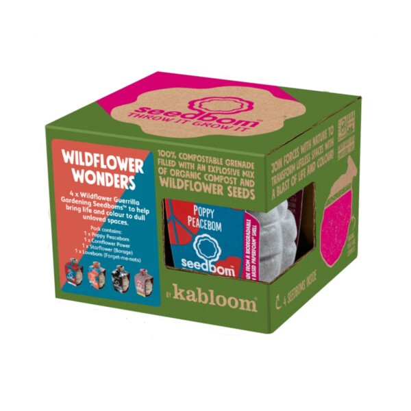 Wildflower Wonders Seed Bombs Gift Box