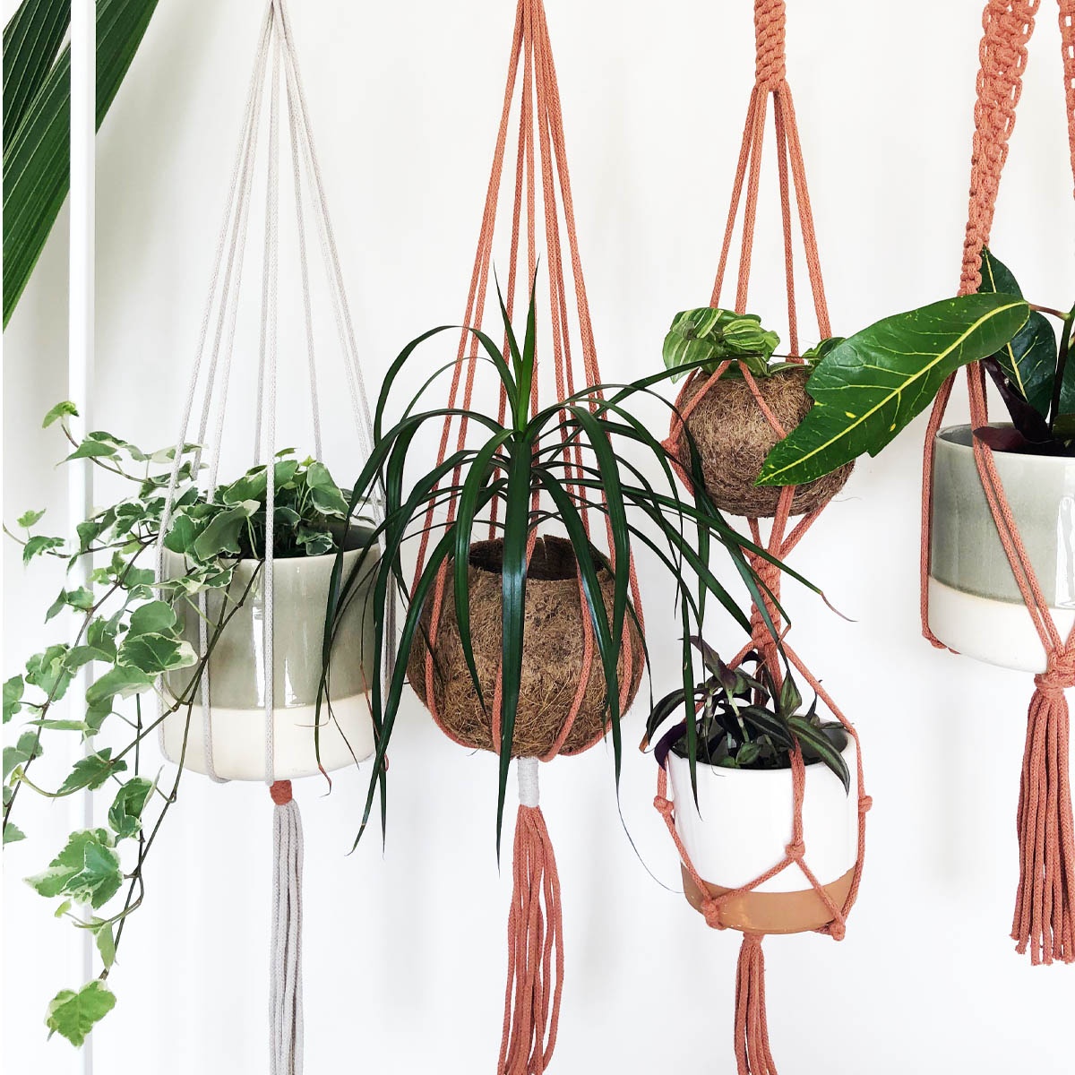 Two Tier Macrame Planter Terracotta Peace With The Wild
