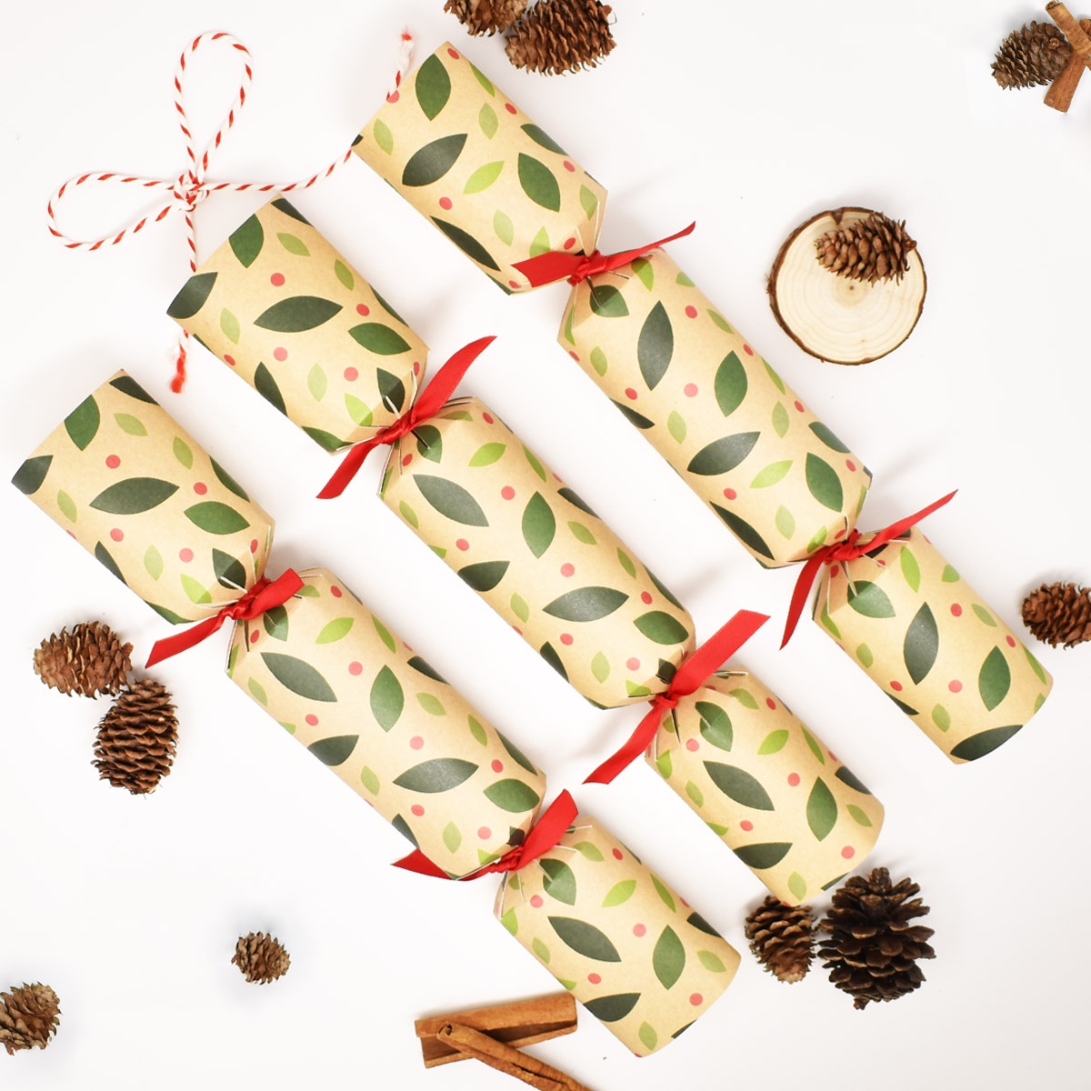 Plastic-Free Christmas Crackers Leaves &amp; Berries - Pack of 12