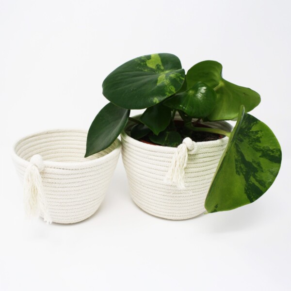 Cotton Eco-Twist Plant Pots