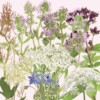 Foragebom Seedbom - Image 2