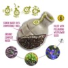 The Shrew With The Flu Seedbom - Image 2