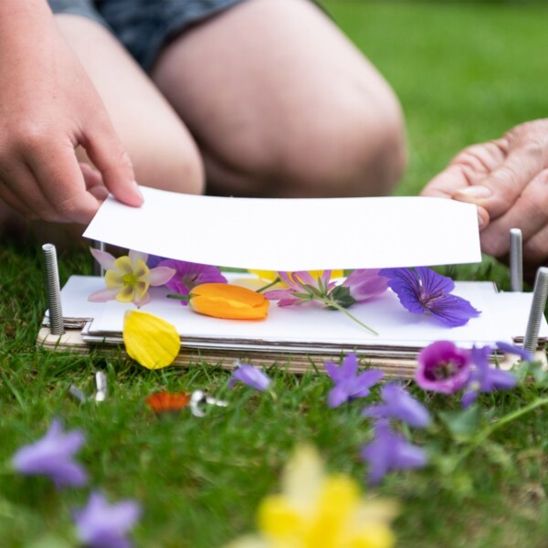 The Flower Press Kit