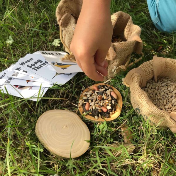 The Make A Pizza For The Birds Kit - Image 2