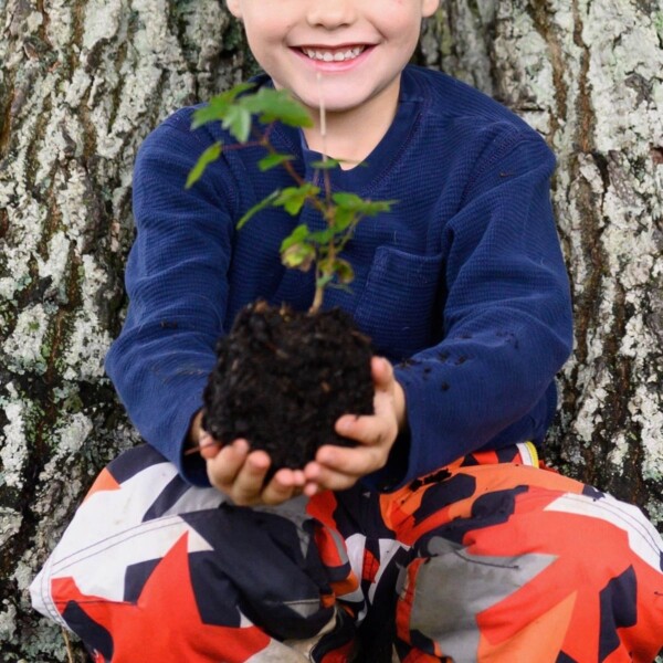 The Plant A Tree Kit - Image 2