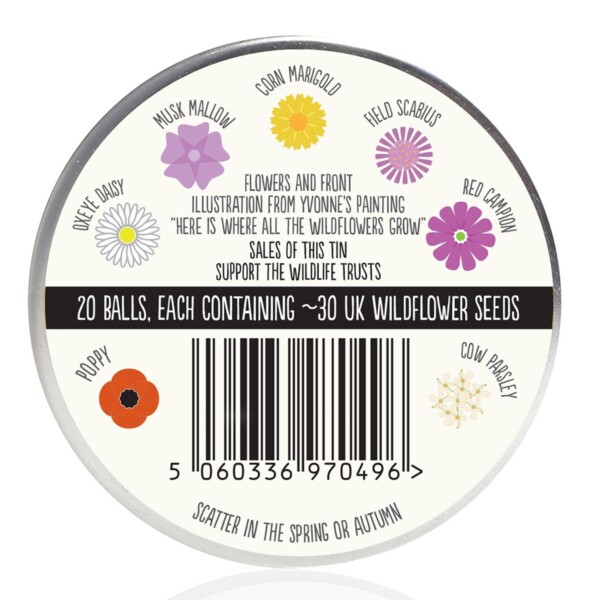 Artist Meadow Seedball Tin - Image 2