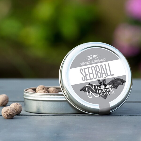 Bat Mix Seedball Tin