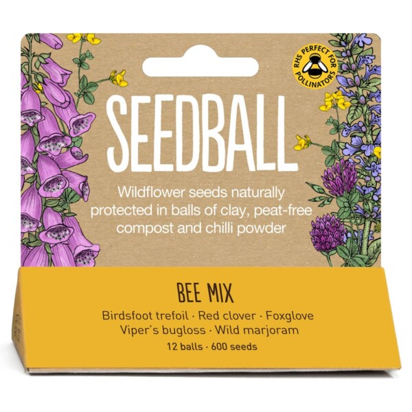 Bee Mix Seedball Hanging Pack