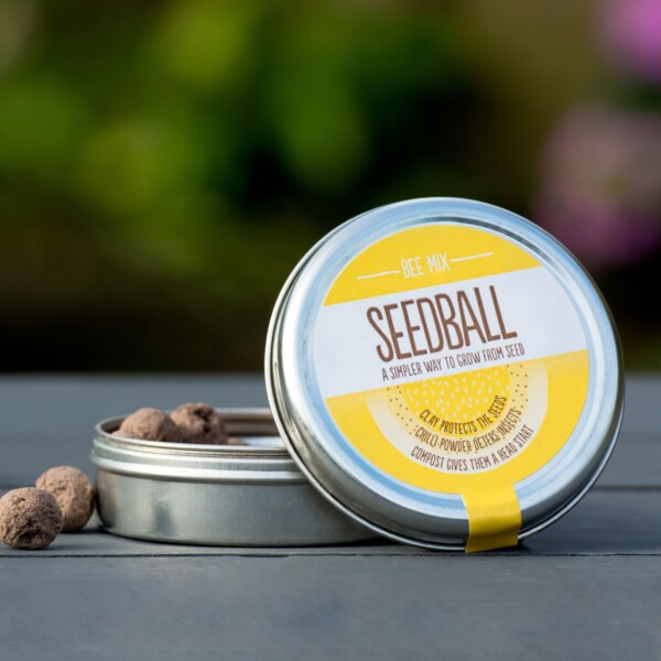 Bee Mix Seedball Tin